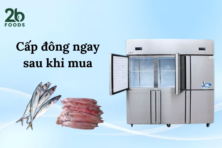 cấp đông thực phẩm sau khi mua
