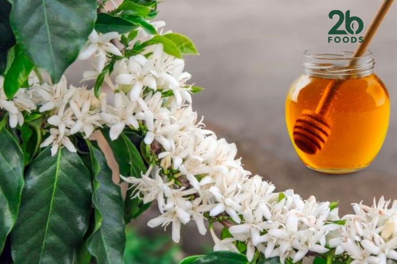 mật ong cà phê có vị gì 