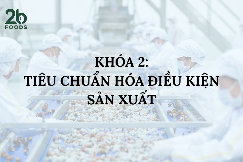tiêu chuẩn hóa điều kiện sản xuất 